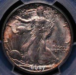 1923 S Walking Liberty Half Pcgs Ms 63 Glassy Silver Luster With Mottled Amber