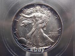 1929 S Walking Liberty Silver Half Dollar 50c ICG MS60 Unc Details #501 ECC&C