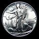 1934-d Walking Liberty Dollar Silver - Gem Bu Coin - #604v