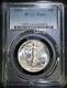 1934 P Walking Liberty Silver Half Dollar 50c Pcgs Ms64 Well Struck Coin