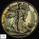 1936 Proof Walking Liberty Silver Half Dollar 50c (pr Pf Gorgeous!)