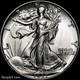 1937 Walking Liberty Half Dollar Gem Bu ++ Uncirculated Silver
