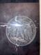 1937 Walking Liberty Half Dollar With A W Initials