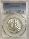 1942 Walking Liberty Half Pcgs Ms66 White With Good Luster