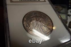 1943-P Silver Walking Liberty Half $ NGC MS65 Older Gen Holder PQ