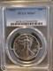 1943 Walking Liberty Silver Half Dollar Ms63 Pcgs