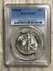 1944-d Walking Liberty Half Dollar Pcgs Ms-65 Nice Blast White Coin Flashy