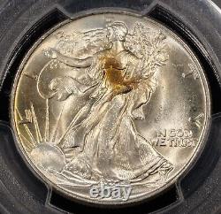 1944 Walking Liberty Half Dollar 50c PCGS GRADED MS65 Coppery Toning