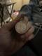 1946 Walking Liberty Half Dollar Fine. 9 Silver Pendant For Necklace