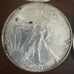 1992 Walking Liberty/Eagle 1 oz Silver Dollars Lot of 9