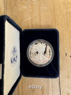 2005 American Silver Eagle Walking Lady Liberty One Dollar Coin