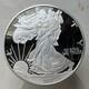 2017 Walking Liberty 4 Troy Ounce. 999 Fine Silver Round. No Coa Or Paperwork