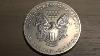 American Eagle 1oz Silver Dollar Coin Walking Liberty Close Look