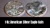 Are American Eagle Coins Worth It 1 Oz Fine Silver Review