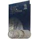 Liberty Walking Half Dollar 10 Coin Set Ag 90% Silver 50c With Folder