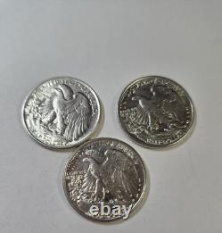 Lot Of 3 BU Walking Liberty Half Dollars In Capsules