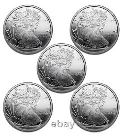 Lot of Five (5) 0.10 (1/10) Troy Ounce. 999 Silver Walking Liberty Round Designs