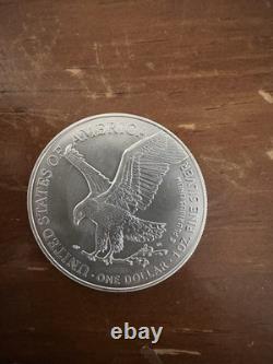 Silver Lot, silver eagle, Morgan, Walking Liberty, Libertad, Washington quarter
