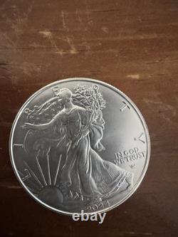 Silver Lot, silver eagle, Morgan, Walking Liberty, Libertad, Washington quarter