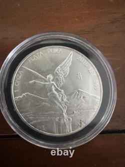 Silver Lot, silver eagle, Morgan, Walking Liberty, Libertad, Washington quarter
