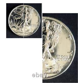 USA-1943-1/2 Dollar-Walking Liberty Half Dollar-Silver. 9-MS-50C