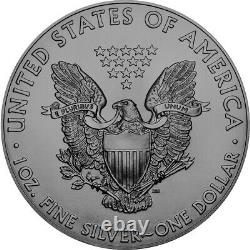 USA ARCTIC BLAST American Silver Eagle 2018 Walking Liberty $1 Dollar Coin 1 oz