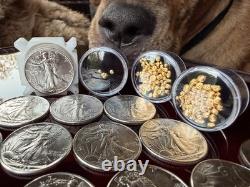 Uncirculated MS Walking Liberty Silver Coin & 24k Gold Bullion Estate Sale Lot