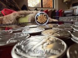 Uncirculated MS Walking Liberty Silver Coin & 24k Gold Bullion Estate Sale Lot