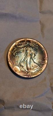 Walking Liberty 1 Oz Silver Beautiful Rainbow Toning Uncirculated Gem 1987
