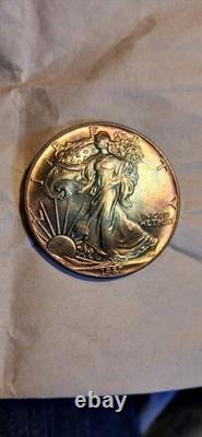 Walking Liberty 1 Oz Silver Beautiful Rainbow Toning Uncirculated Gem 1987