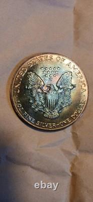 Walking Liberty 1 Oz Silver Beautiful Rainbow Toning Uncirculated Gem 1987