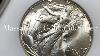Walking Liberty Half Dollars One Of My Favorites Numismatics History Silver Collecting
